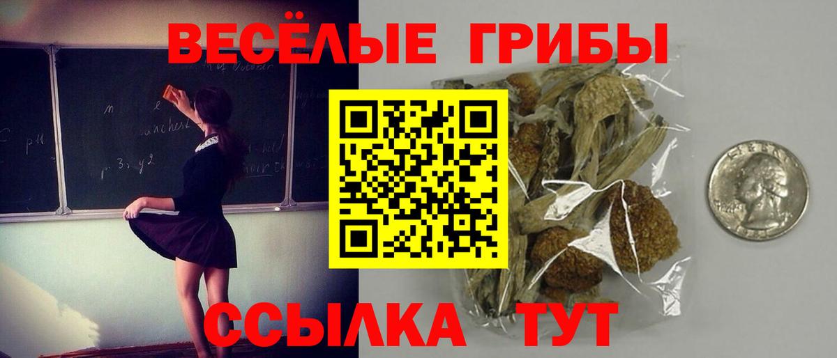 купить закладку  Галлюциногенные грибы Magic Shrooms  Вход с VPN  Соликамск  Псилоцибиновые грибы прущие грибы 